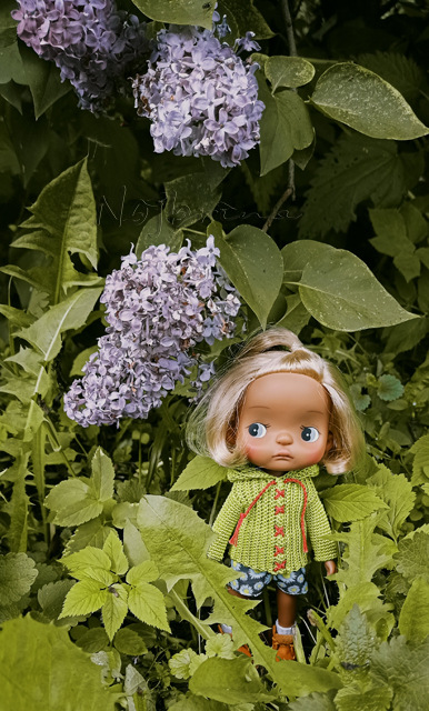 Holala Pipita Peter — Куклы Holala (Холала) от Jenny Fairytown: Pipita (фото 6)