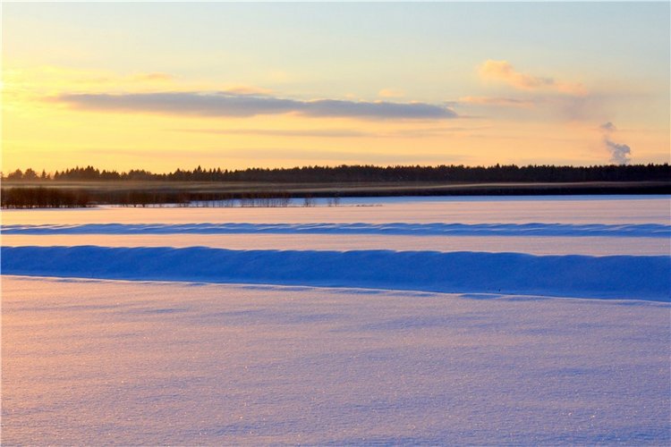 Зимняя прогулка Сони. Уникальная кукла от Сильвии Наттерер
