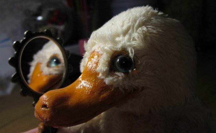 Фантастическая наглость фантастического нюхлера (фото 6)