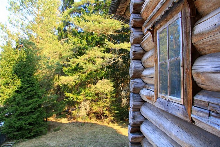 Апрельский день в Василёво, третья часть