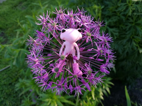 Добро пожаловать в удивительный мир Ванды