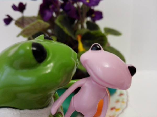 Добро пожаловать в удивительный мир Ванды