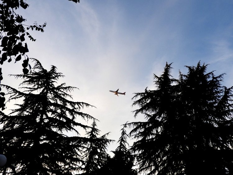 Краснодарский Край, Сочи-Адлер, Санаторий «Южное Взморье»