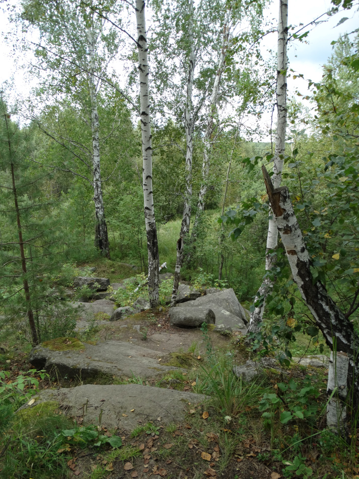 Каменный остров. Поездка с БЖД куколкой от Лиликэт