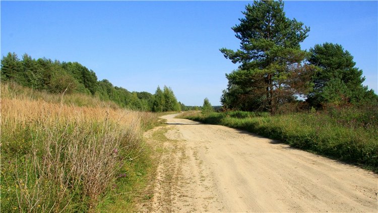 Инопланетянка Нийя. Custom Blythe Doll UFO Go Go Takara