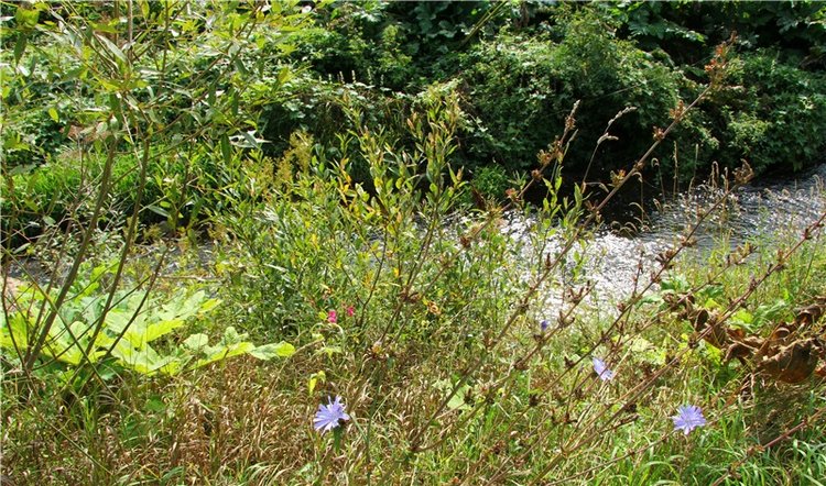 Старицкая Швейцария. Путешествие с Сашей, продолжение. Уникальная кукла от Сильвии Наттерер