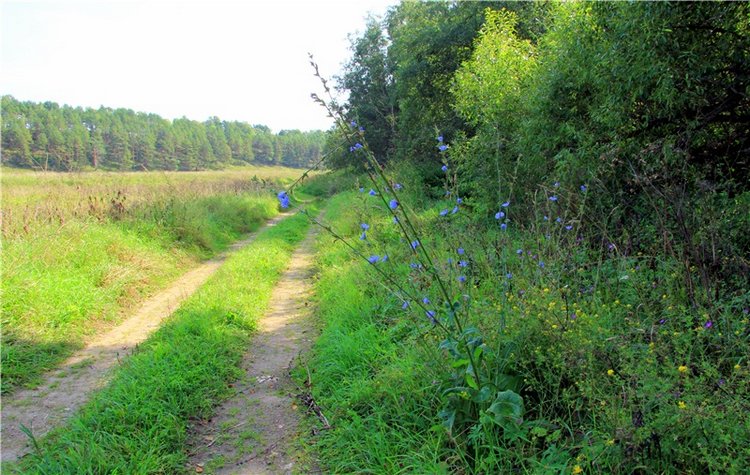 Старицкая Швейцария. Путешествие с Сашей, продолжение. Уникальная кукла от Сильвии Наттерер