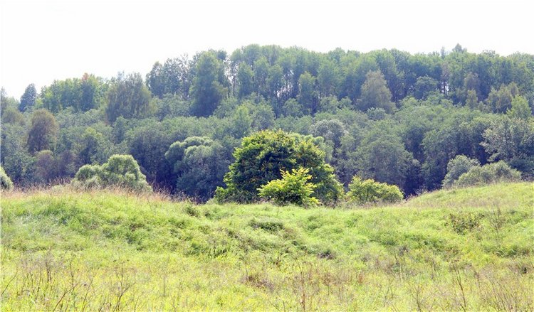 Старицкая Швейцария. Путешествие с Сашей, продолжение. Уникальная кукла от Сильвии Наттерер