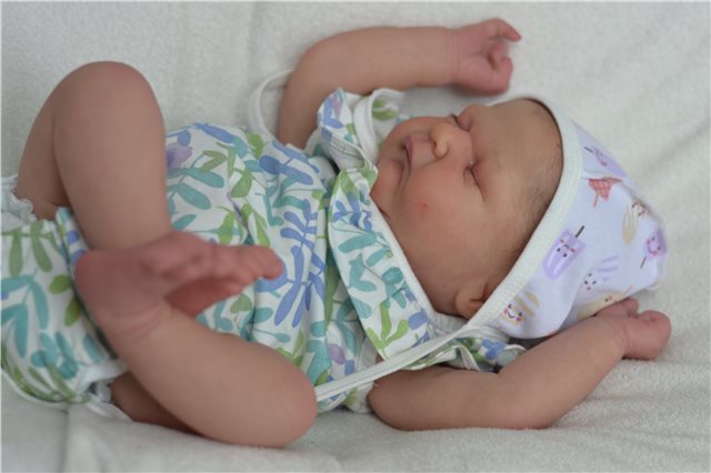 Мои новорожденные малыши. Кукла реборн | Бэйбики Мои новорожденные малыши. Кукла реборн (фото 10)
