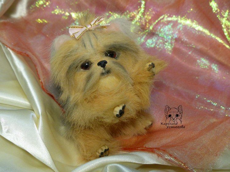 Еще один щенок Йоркширского терьера (фото 3)