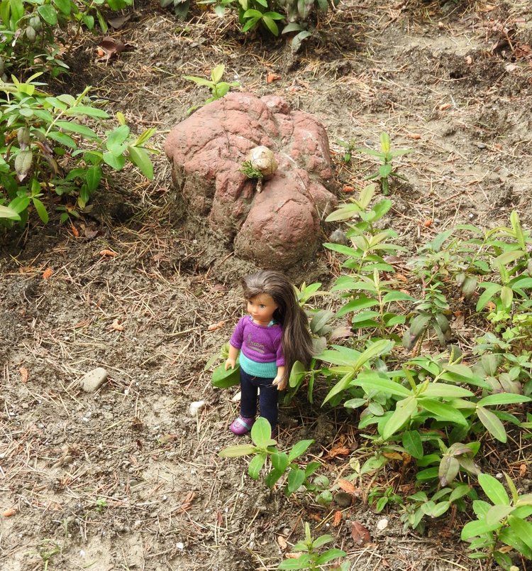 Сочи-Адлер: Южное Взморье - Мои любимые куколки на отдыхе