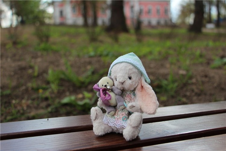 Один раз в год сады цветут