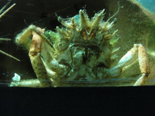 Путешествие на о. Кипр — Туризм и путешествия: фотоотчеты из поездок