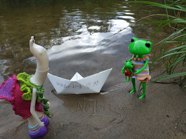 Wonderfrog. Красота в простоте