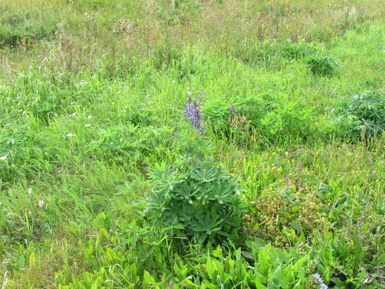 Путешествие в Нижегородскую область - часть 2 - Размещение в деревушке и прогулка по окресностям