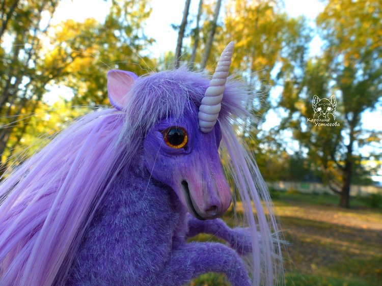 Единорог-страна мечты. Осеняя прогулка (фото 6)