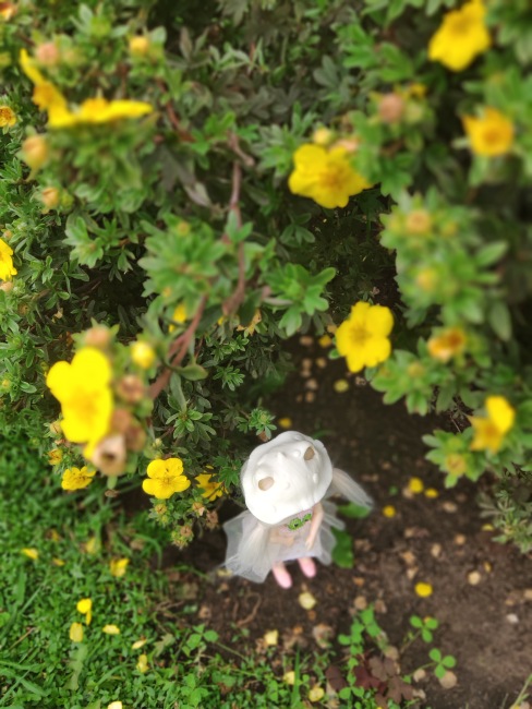 Кукла Лино. Lino Moof — Азиатские виниловые куклы (разное): Китай