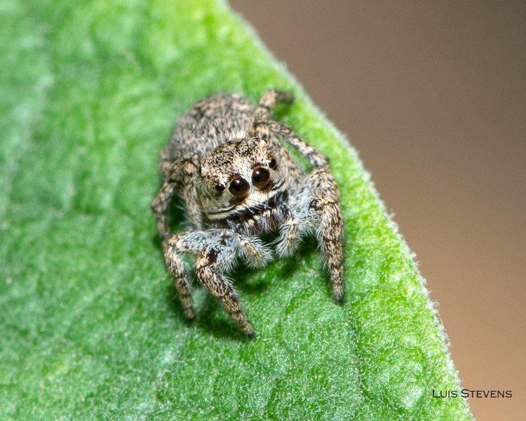 Любителям природы - профессиональные фотографии (выпуск 4)