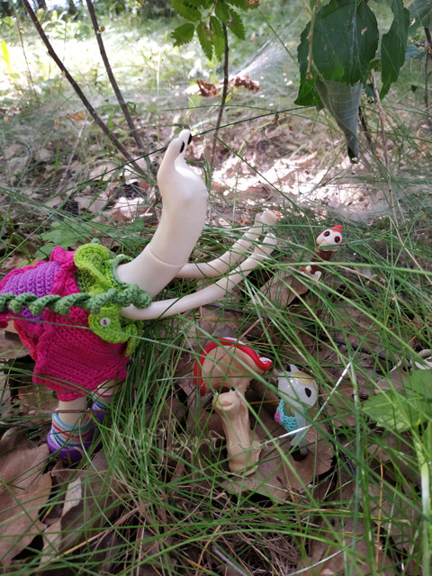 Wonderfrog. Красота в простоте. Часть 2