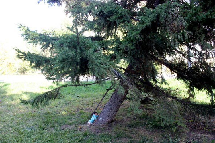 Осень моих вихтелят 2 — Куклы Rosemarie Anna Muller (Мюллер): Вихтели (Wichtel) (фото 9)