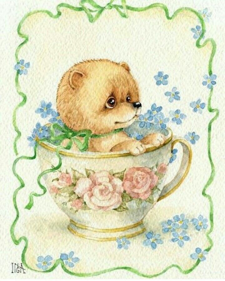 Мишки Инги SMG — Интересное и необычное: фотоподборки