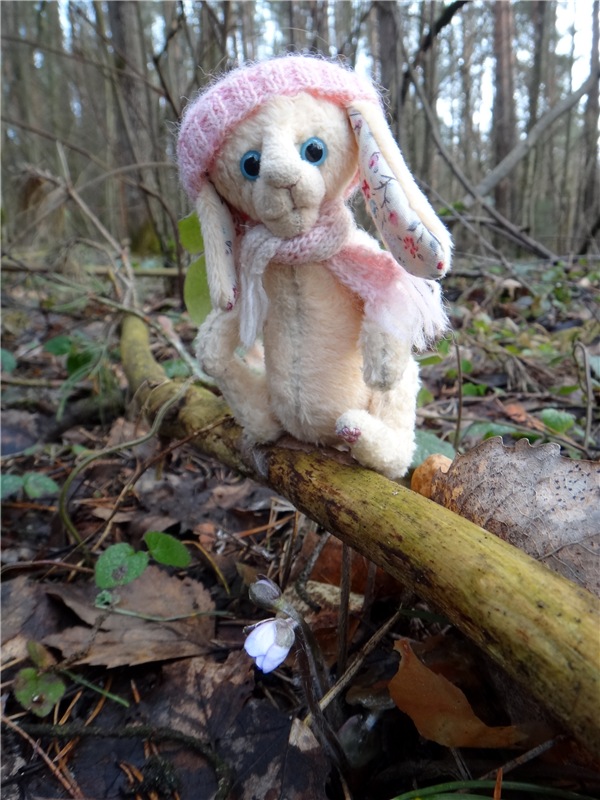 23 февраля - расцвели синие подснежники (фото 4)