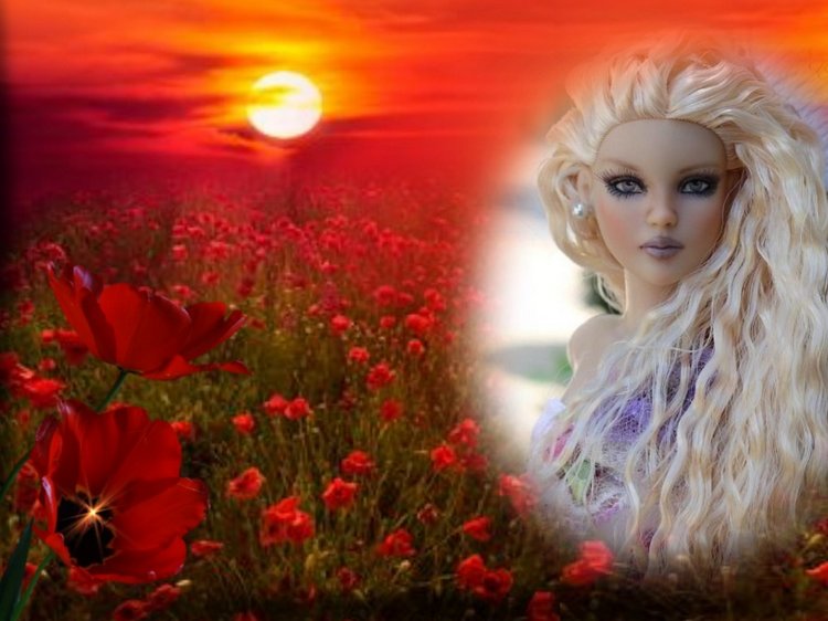 Мои Тоннерки. Фотозарисовки