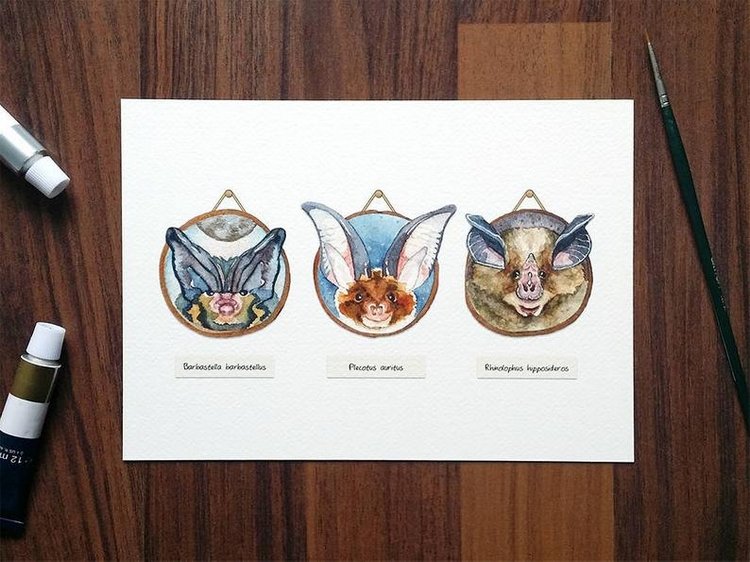 SnailMaidenStudio - Акварельные иллюстрации маленьких живых существ