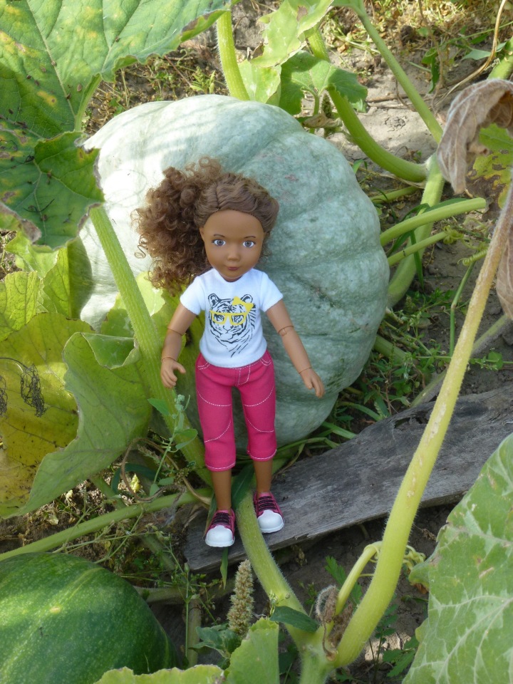 Отдых в деревне с Джой — Туризм и путешествия: фотоотчеты из поездок