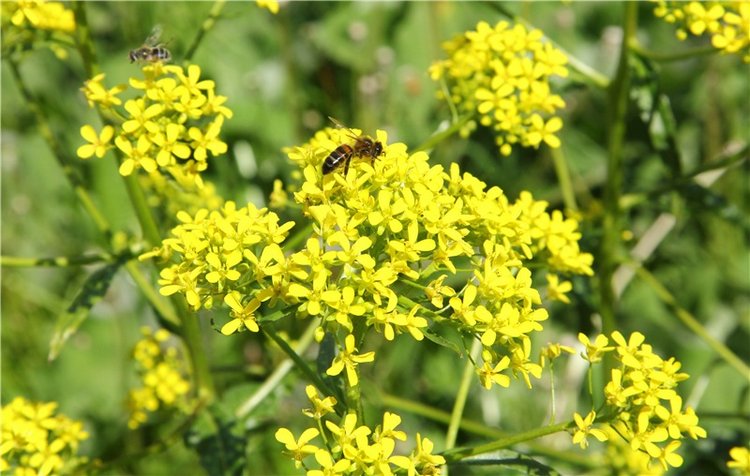 Сентябрьское путешествие в Старицу, третья часть (фото 8)