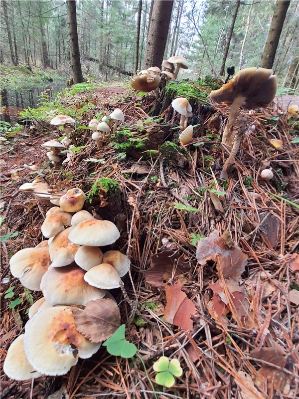 Путешествие по Святым местам Тверской области