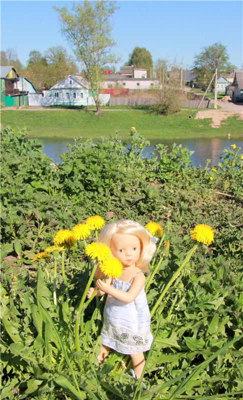 Одуванчиковая нежность, прогулка по Торжку