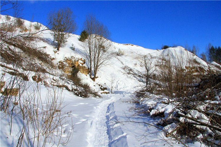 Зимняя прогулка Сони. Уникальная кукла от Сильвии Наттерер