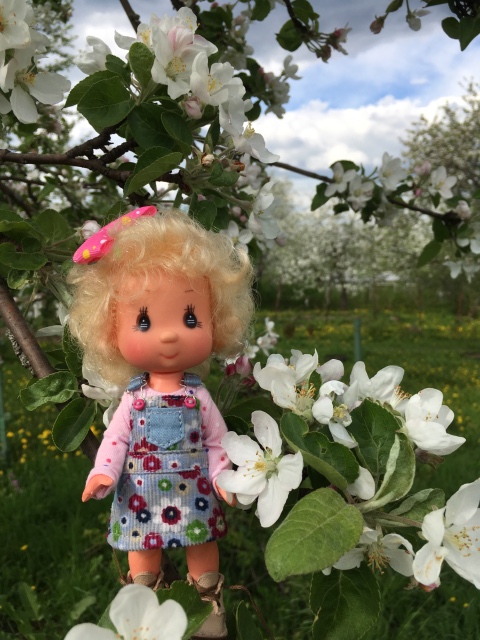 Поездка на дачу с Mui-chan, Migliorati и Sonny angel