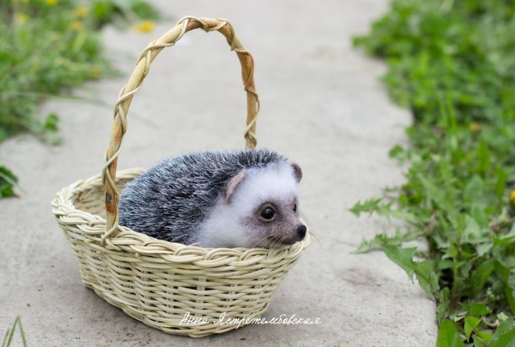 Ёжинька — Валяные игрушки из шерсти: сухое валяние