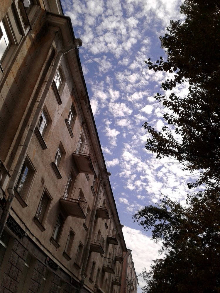 Последний месяц лета. Мой Псков. Аурика