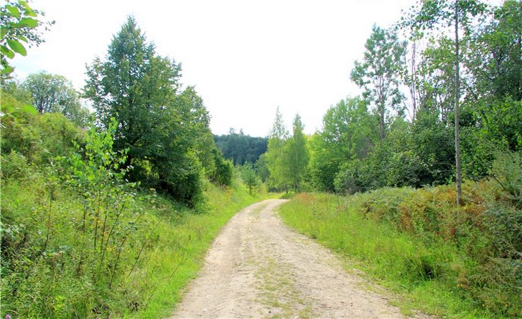Старицкая Швейцария. Путешествие Мии. Minifee Miyu FairlyLand | Бэйбики Старицкая Швейцария. Путешествие Мии. Minifee Miyu FairlyLand