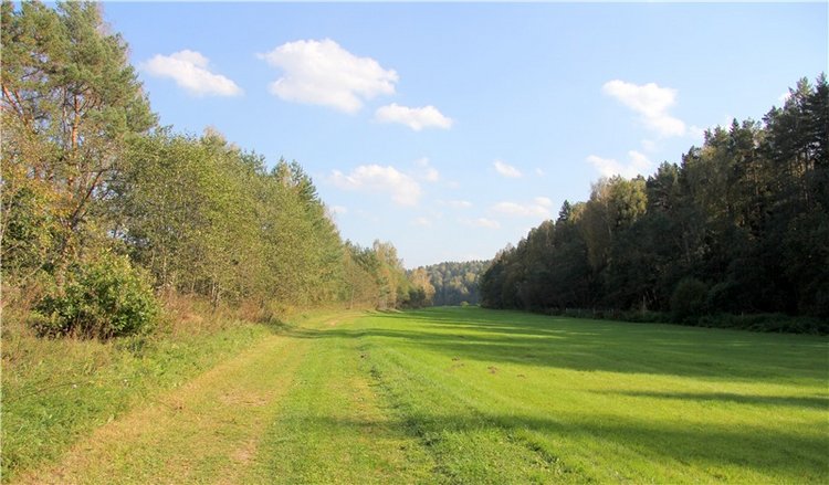 Нийя. Воспоминание об осени, Чукавино, Эко-Лэнд