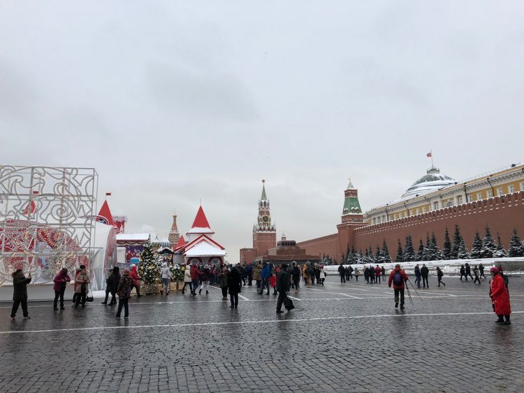 Москва предновогодняя... выставка новогодних елок в ГУМе - очень красиво (фото 6)