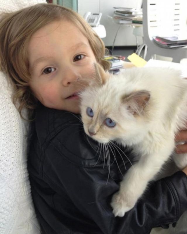 Скончался Карл Лагерфельд: дизайнер, ставший легендой еще при жизни