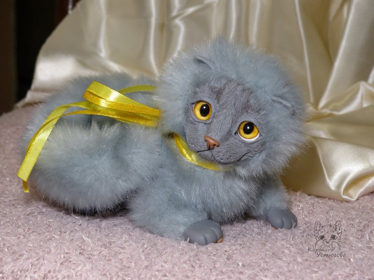 Котенок. Шотландский вислоухий