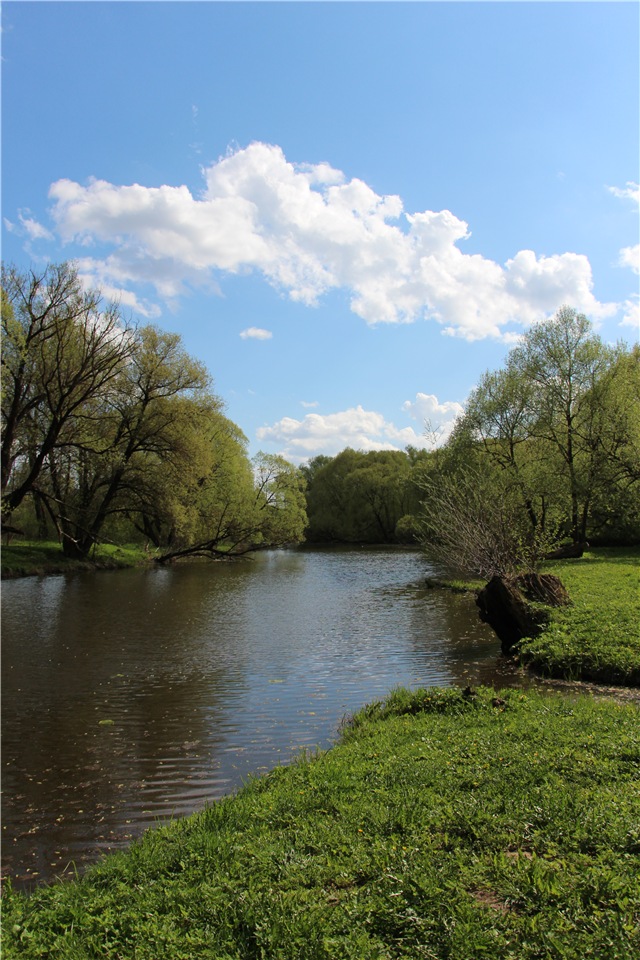Один раз в год сады цветут (фото 4)