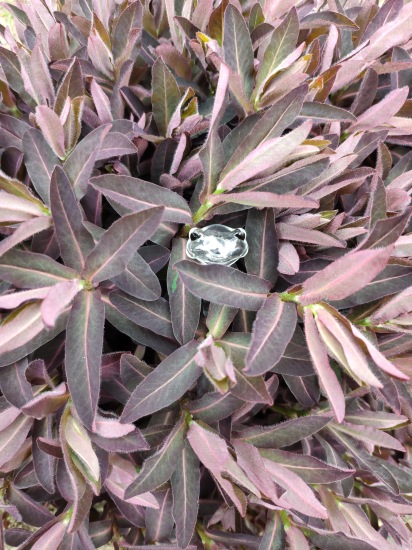 Найди меня, если сможешь — Фигурки Studio