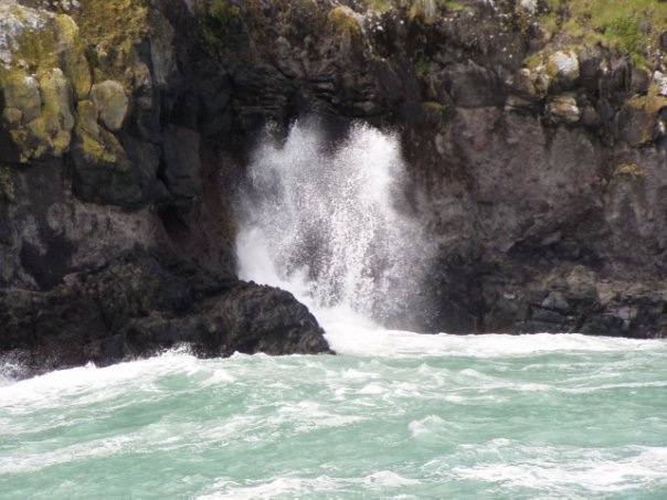 Увлекательное путешествие по Новой Зеландии