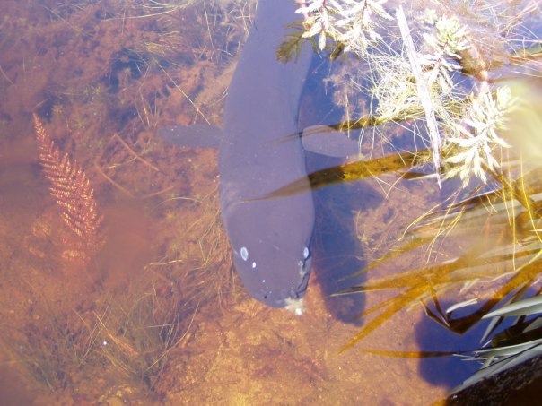 Увлекательное путешествие по Новой Зеландии