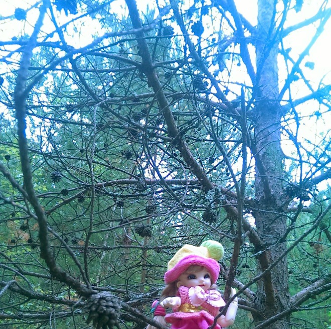 Лесные приключения... Волшебство, сосны, грибы, полетаем)