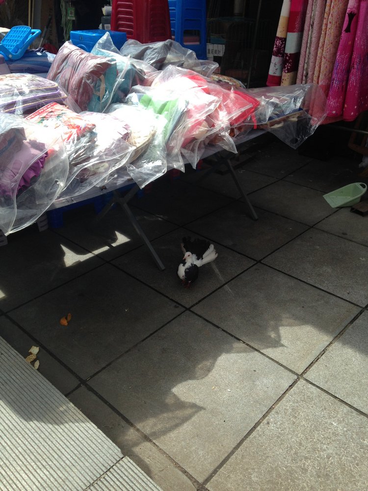 Курица не птица, Китай не заграница. Много фото, небольшая экскурсия