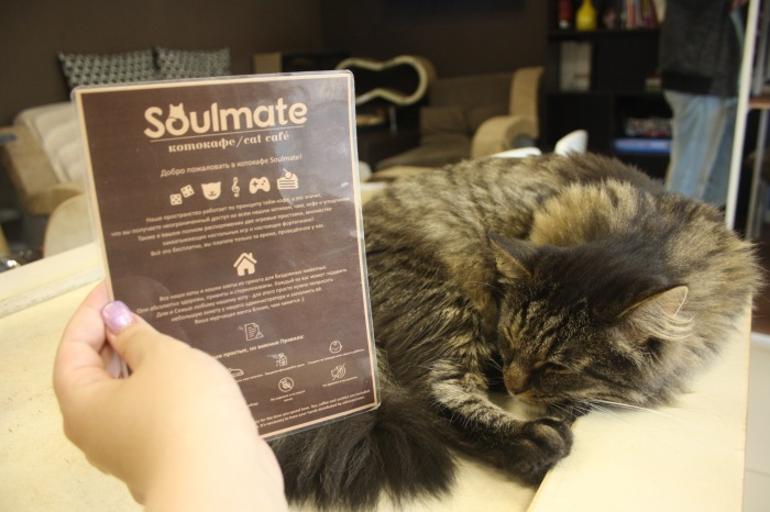 Петербург. Прогулка по крышам. Котокафе. Старые слайды (фото 5)