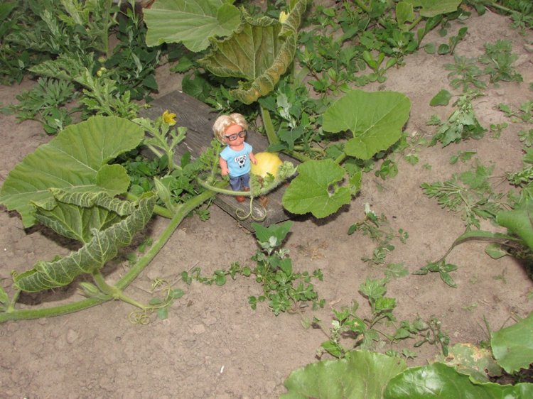 Путешествие в Нижегородскую область - часть 3 - Тимошка на усадьбе