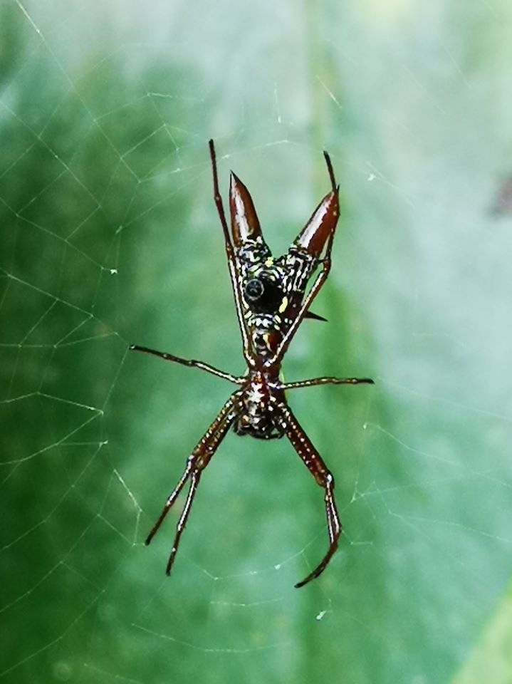 Любителям природы - профессиональные фотографии (выпуск 4)